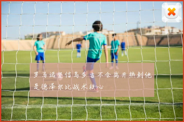 罗马诺坚信乌多吉不会离开热刺他是德泽尔比战术核心